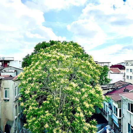 Appart hôtel Alaca 3*